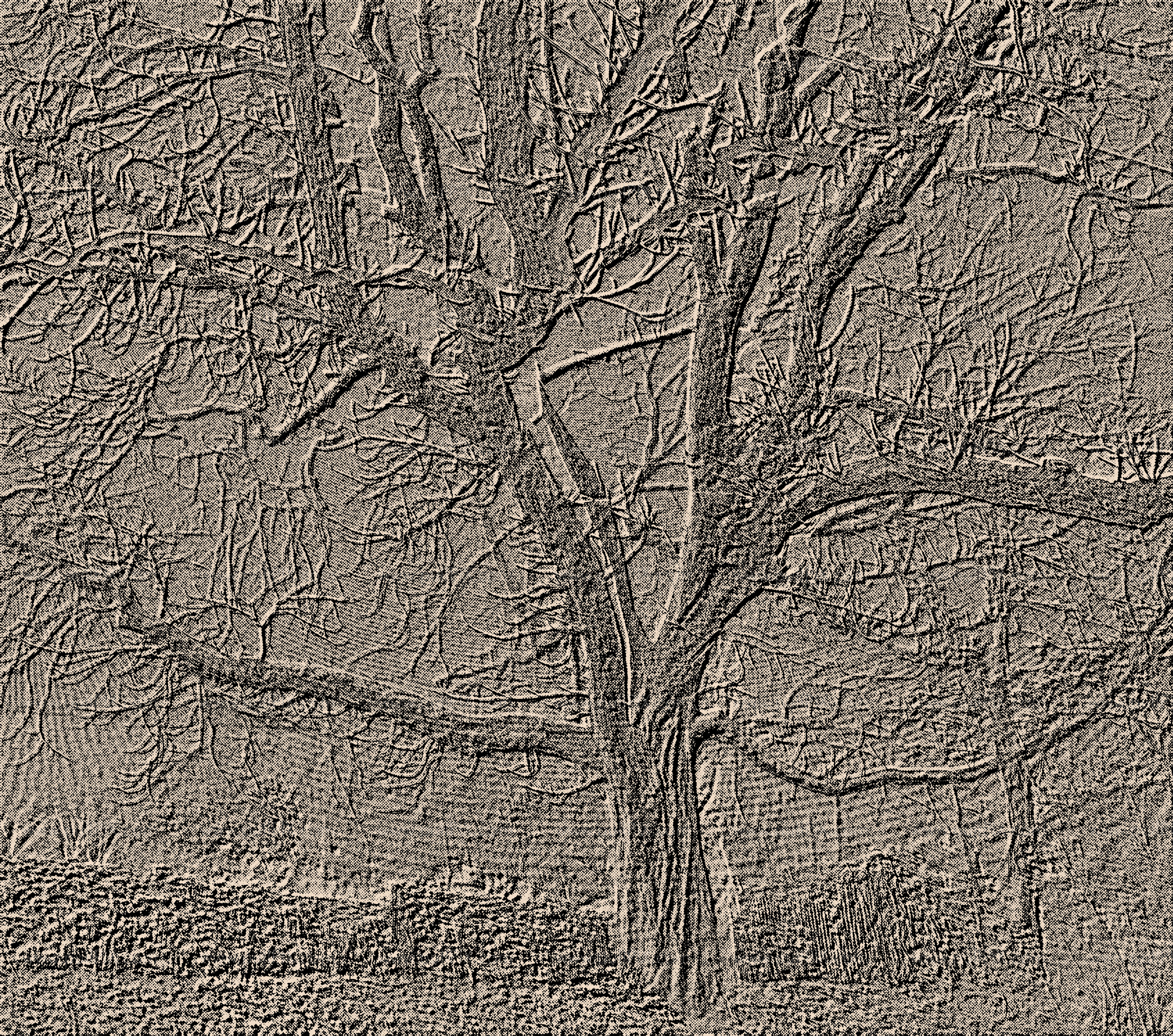 Preview Baum Monochrom.jpg